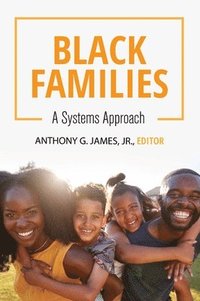 bokomslag Black Families: A Systems Approach