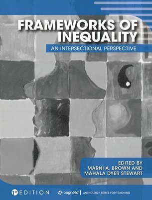 Frameworks of Inequality: An Intersectional Perspective 1