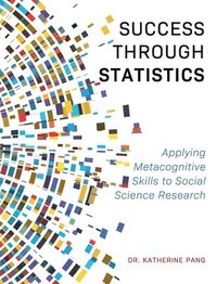 bokomslag Success through Statistics: Applying Metacognitive Skills to Social Science Research