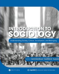 bokomslag Introduction to Sociology