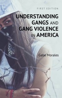 bokomslag Understanding Gangs and Gang Violence in America
