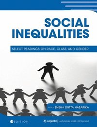 bokomslag Social Inequalities: Select Readings on Race, Class, and Gender