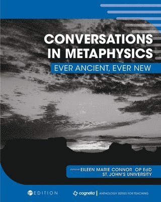 bokomslag Conversations in Metaphysics