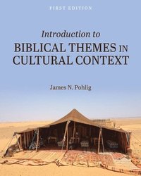 bokomslag Introduction to Biblical Themes in Cultural Context