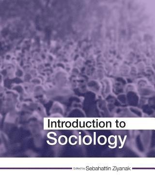 bokomslag Introduction to Sociology