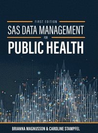 bokomslag SAS Data Management for Public Health