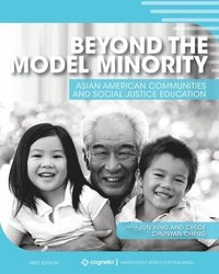 bokomslag Beyond the Model Minority