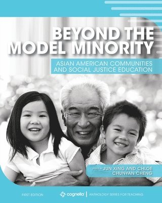 Beyond the Model Minority 1