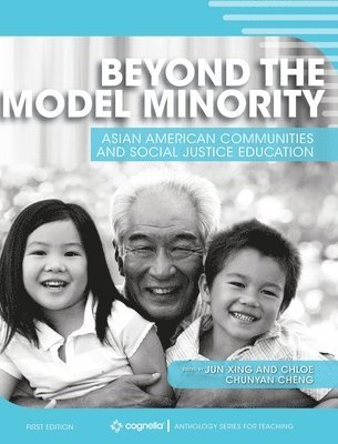 Beyond the Model Minority: Asian American Communities and Social Justice Education