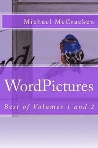 bokomslag WordPictures: Best of Volumes 1 and 2