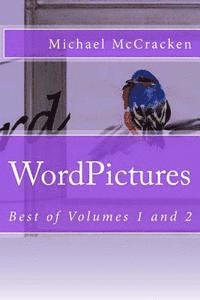 Michael McCracken - WordPictures: Best of Volumes 1 and 2, Häftad