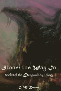 bokomslag Stone: the Way In