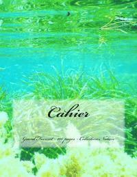 Victoria Joly - Cahier - Grand Format - 100 pages - Collection Nature: Design Original 9, Häftad