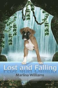 Lost and Falling 1