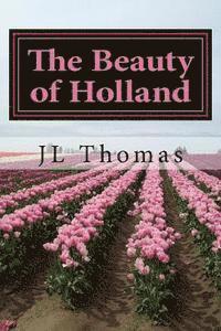 bokomslag Beauty of Holland