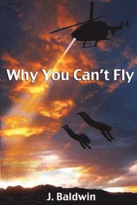 Why You Can't Fly 1