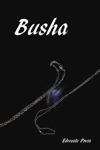 bokomslag Busha: A tale about a love that didn't reach its destination