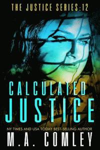 bokomslag Calculated Justice