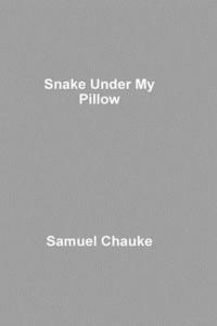 bokomslag Snake Under My Pillow