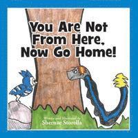 Shernae Storella - You Are Not From Here, Now Go Home!, Häftad