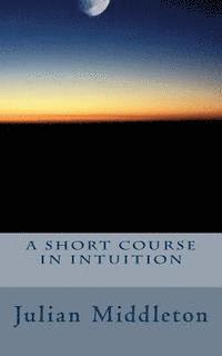 bokomslag A Short Course In Intuition
