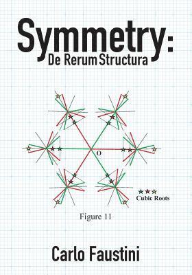 bokomslag Symmetry: De Rerum Structura