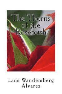 bokomslag The Thorns of the Rosebush
