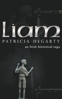 bokomslag Liam: An Irish Historical Saga