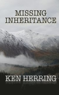 bokomslag Missing Inheritance