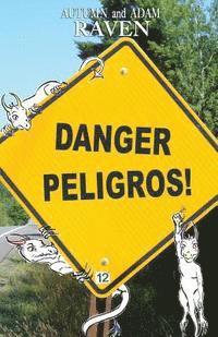 Danger Peligros!: Adventure Travel 1