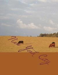 Steven D. Seymour - New York City, Häftad