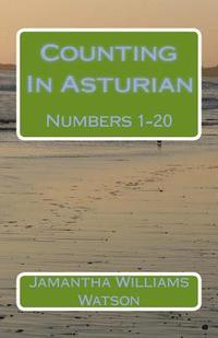 bokomslag Counting In Asturian: Numbers 1-20