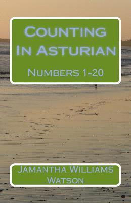 bokomslag Counting In Asturian: Numbers 1-20