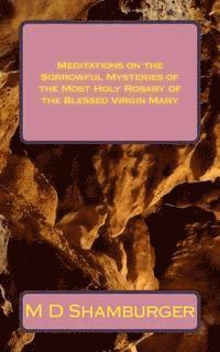 bokomslag Meditations on the Sorrowful Mysteries of the Most Holy Rosary of the Blessed Virgin Mary
