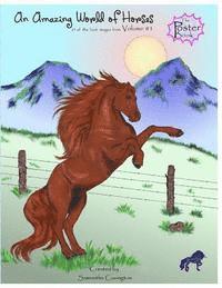 Amazing World of Horses: vol. #1 POSTER BOOK 1