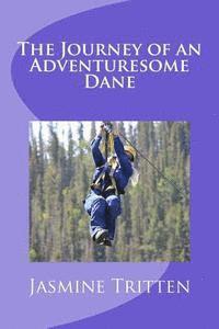 bokomslag The Journey of an Adventuresome Dane