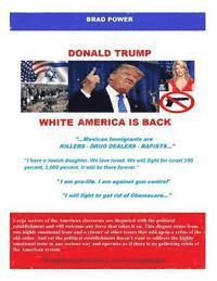 bokomslag Donald Trump: Old America is Back