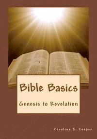 bokomslag Bible Basics: Genesis to Revelation