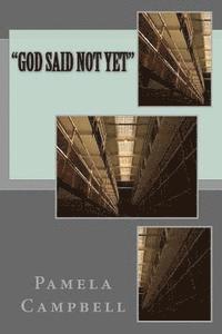 bokomslag 'God Said Not Yet'
