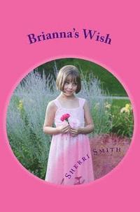 bokomslag Brianna's Wish