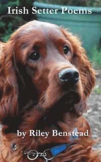 bokomslag Irish Setter Poems