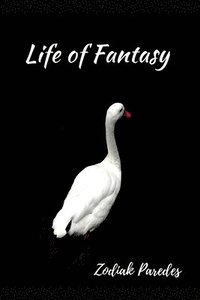 bokomslag Life of Fantasy