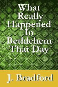 bokomslag What Really Happened in Bethlehem That Day