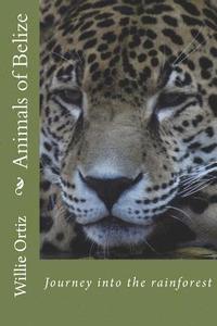 bokomslag Animals of Belize