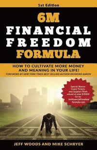 bokomslag 6M Financial Freedom Formula: How to Cultivate More Money and Meaning in Your Life!