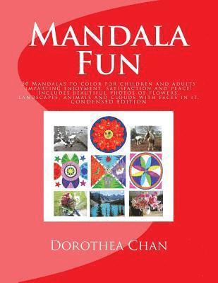 bokomslag Mandala Fun CONDENSED EDITION