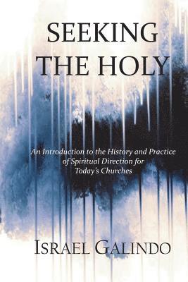 bokomslag Seeking the Holy: An Introduction to the History and Practice of Spiritual Direction for Today's Churches