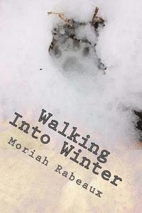 bokomslag Walking Into Winter: Writing to Warm the Frostbitten Soul