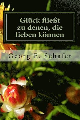 Georg E. Schäfer - Glück fließt zu denen, die lieben können: Eine humorvolle Geschichte aus dem Süden Deutschlands, Häftad