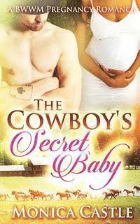bokomslag The Cowboy's Secret Baby